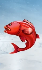 Ice Fishing